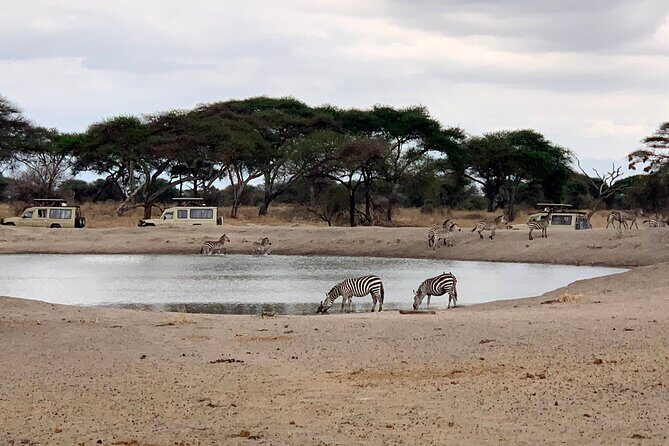 3-Day Adventure Camping Safari to Tarangire, Ngorongoro Crater, and Lake Manyara - Authenticity and Customer Feedback
