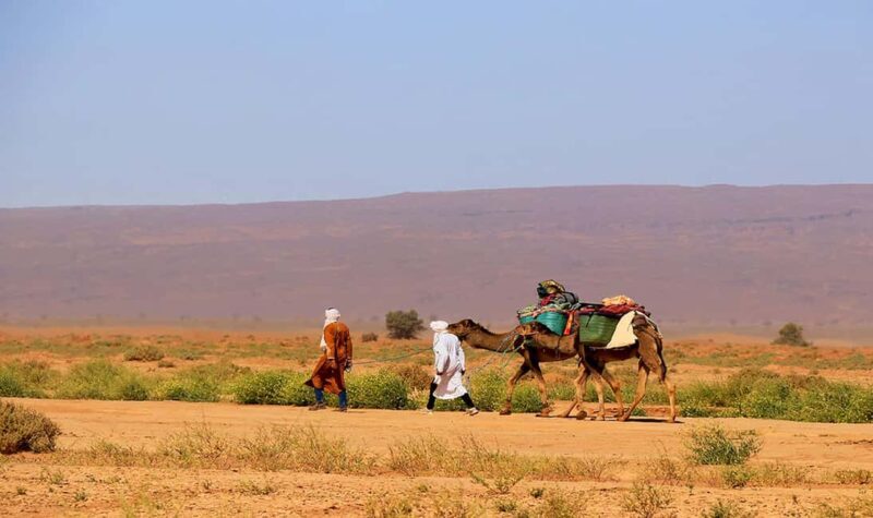 3-day adventure desert from M'hamid to Erg Chegaga - Who Is This Tour Perfect For?