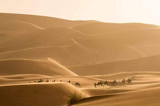 3-Day Adventure: Merzouga Desert, from Marrakech to Fez - The Itinerary in Detail