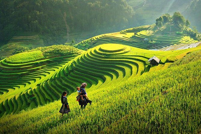 3-day Amazing Sapa Trekking & Fansipan cable car: homestay+hotel - Who Will This Tour Suit Best?