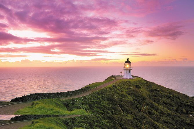 3 Day Bay Of Islands Tour from Auckland including Waitangi and Cape Reinga - Key Points