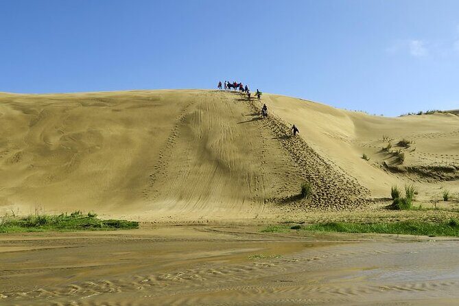 3 Day Bay Of Islands Winter Tour from Auckland - An Honest Look at the 3-Day Bay of Islands Winter Tour from Auckland