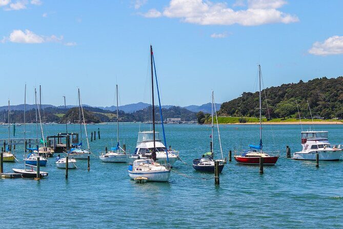 3 Day Bay Of Islands Winter Tour from Auckland - FAQ