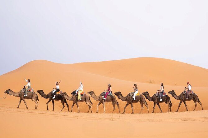 3-Day Best Desert Tour from Fez to Marrakech via Merzouga - Who Should Consider This Tour?