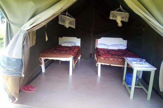 3-DAY Best Maasai Mara Safari (POPULAR) - Authentic Experiences and Real-Life Insights