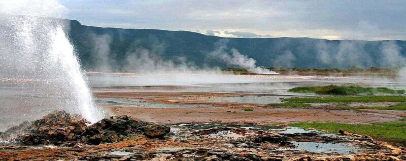 3-Day Bird Watching Lake Nakuru, Lake Bogoria& Lake Naivasha - What Makes This Tour Stand Out