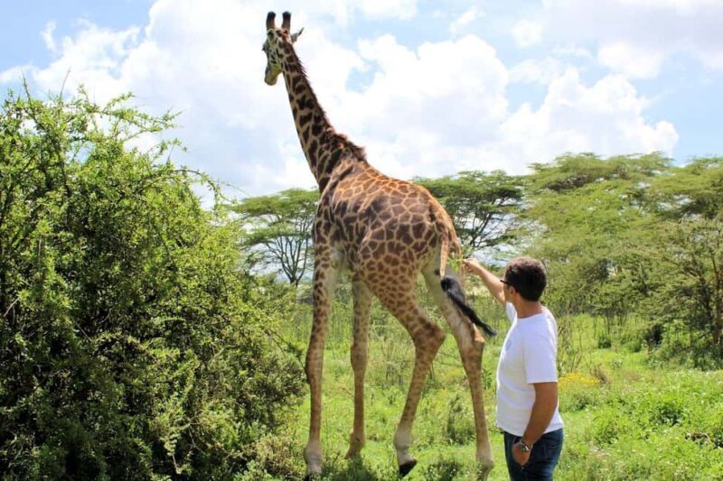 3-Day Bird Watching Lake Nakuru, Lake Bogoria& Lake Naivasha - The Sum Up: Is This Tour for You?
