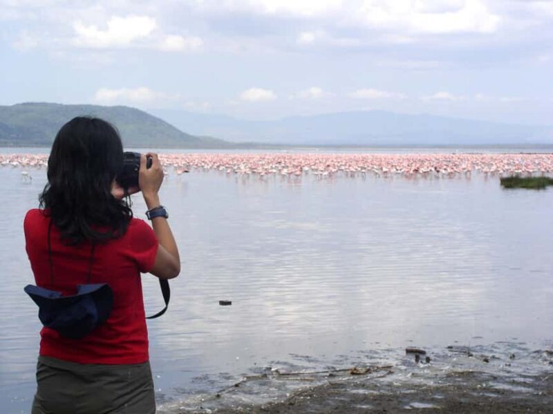 3-Day Bird Watching Lake Nakuru, Lake Bogoria& Lake Naivasha - Key Points