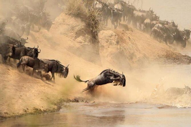 3-Day Budget Maasai Mara Joining Safari with 4x4 LandCruiser Jeep - FAQ