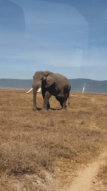 3 Day Budget Shared Safari To Serengeti & Ngorongoro Crater - What’s Included and What to Expect