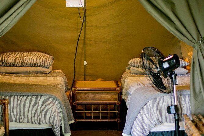 3 Day Budget Tent Kruger National Park Safari - Who Should Consider This Safari?