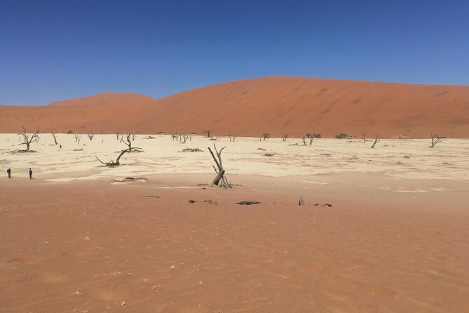3 Day Camping safari at Sossusvlei - What to Expect and Why It Works