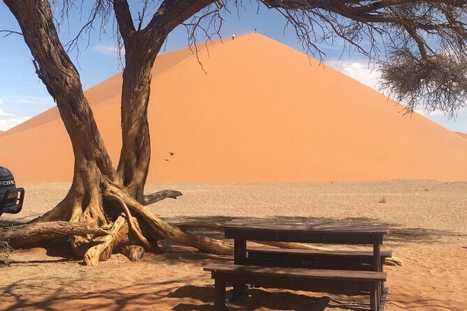 3 Day Camping safari at Sossusvlei - Who Will Love This Tour?