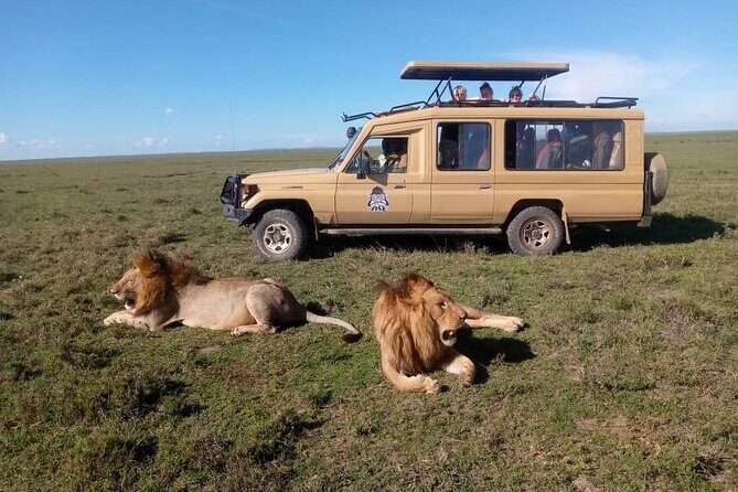 3-Day Camping Safari Tarangire, Lake Manyara & Ngorongoro crater - A Deep Dive into the 3-Day Itinerary