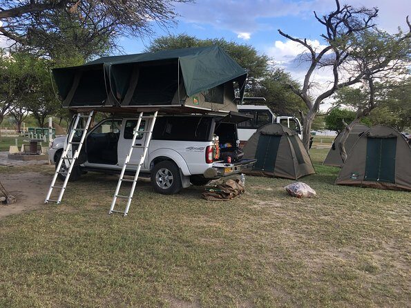 3 Day Camping tour at Etosha National Park - An In-Depth Look at the Etosha 3-Day Safari