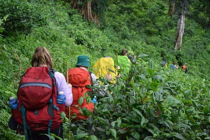 3-Day Chiang Dao Mountain Trek - An In-Depth Look at the 3-Day Chiang Dao Mountain Trek