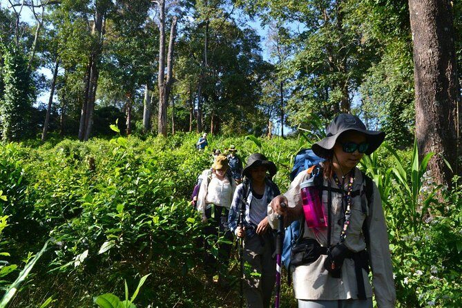 3-Day Chiang Dao Mountain Trek - Practical Tips for Future Trekkers