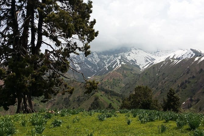 3-Day Chimgan Trekking Tour - Practical Considerations and Tips