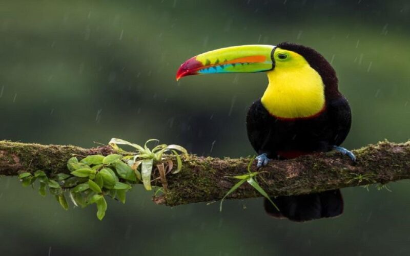 3-Day Chitwan Jungle Safari Adventure From Kathmandu/Pokhara - Who Is This Tour Best For?