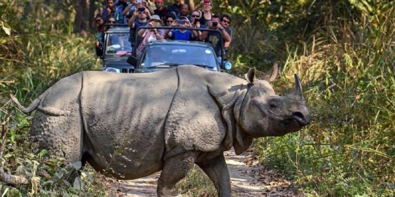 3-Day Chitwan Jungle Safari Adventure From Kathmandu/Pokhara - FAQ