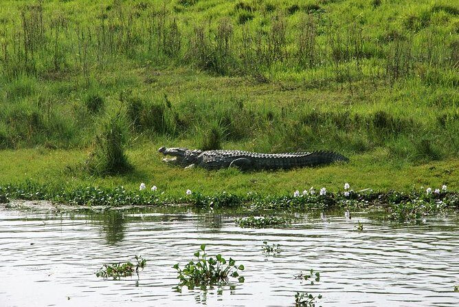 3-Day Chitwan Jungle Safari Tour from Kathmandu - Final Thoughts