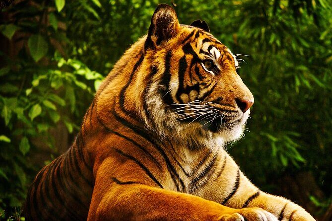 3 Day Chitwan National Park, Jungle Safari Package all Inclusive - Final Thoughts