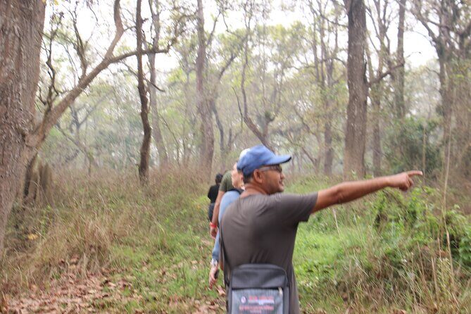 3-Day Chitwan National Park Jungle Safari Tour Package with Pick Up - A Deep Dive into the 3-Day Chitwan Safari Experience