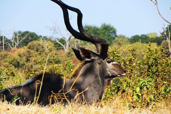 3 Day Chobe National Park Camping Safari - Introduction