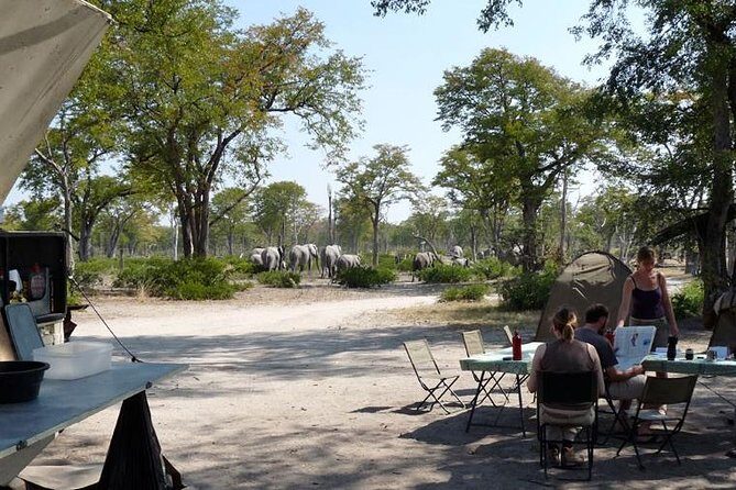 3 Day Chobe National Park Camping Safari - Key Points