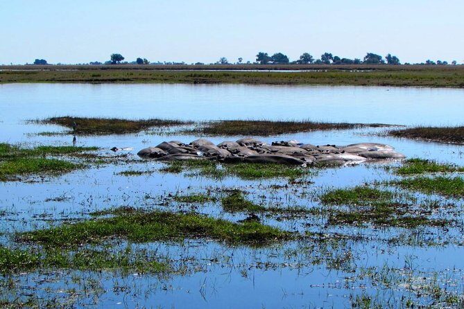 3 Day Chobe National Park Camping Safari - What Sets This Tour Apart