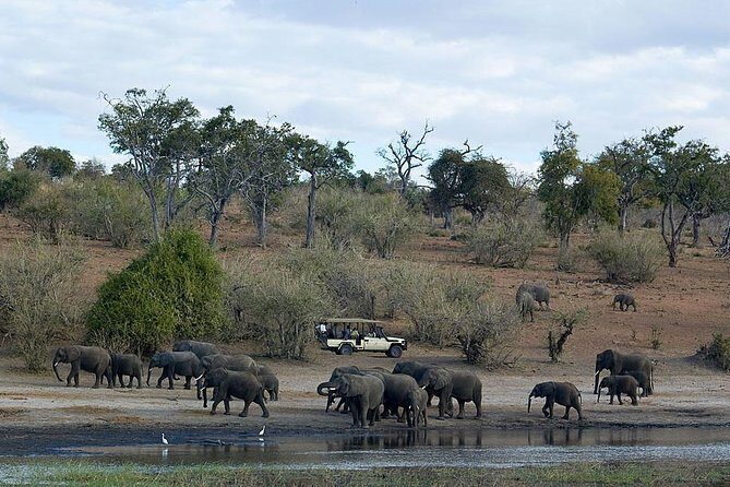 3 Day Chobe National Park Camping Safari - Final Thoughts