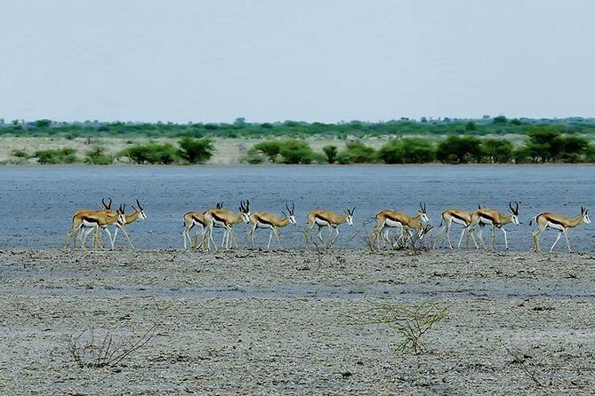 3 Day Chobe National Park Camping Tour - What’s Unique About This Tour?