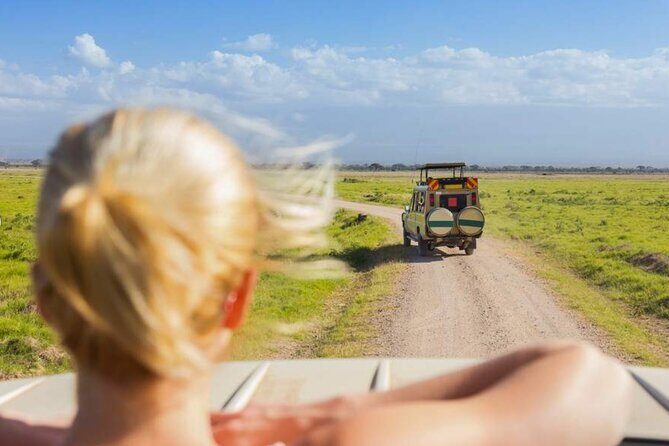 3 Day Classic, Guided Serengeti Safari - The Reviews: Authentic Voices