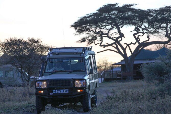 3-Day Classic Serengeti Safari - Day 2: Full-Day Serengeti Game Drive