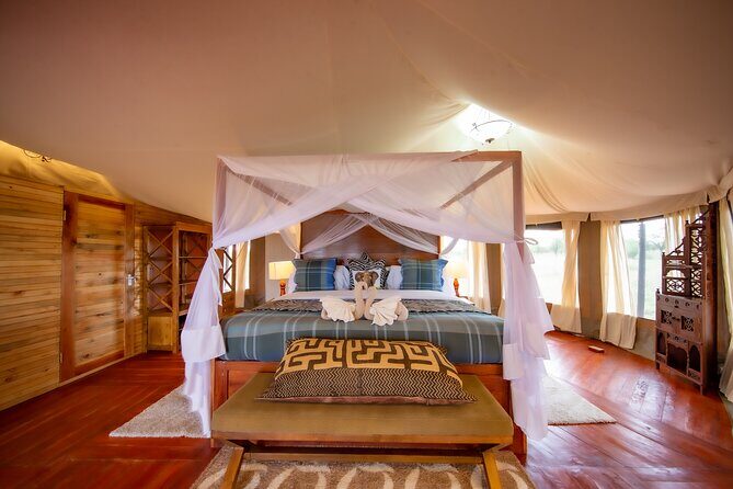 3-Day Classic Serengeti Safari - What Travelers Say: Authentic Feedback