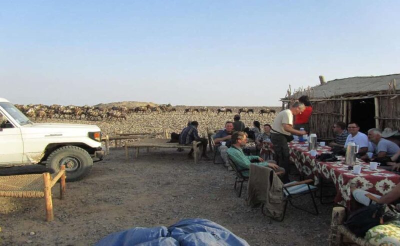 3-Day Danakil Depression A Journey into Earths Fiery Heart - Who Should Consider This Tour?