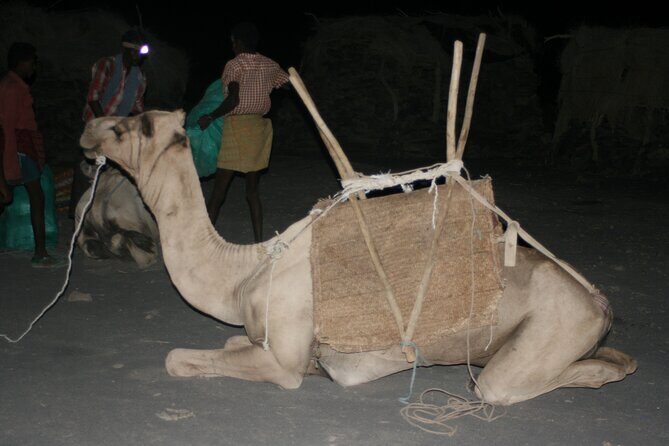 3-Day Danakil Depression Expedition - The Sum Up