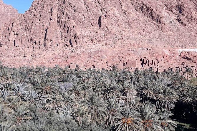 3-Day Desert Tour to Fez: Ouarzazate and Berber Village from Marrakech - Who Will Love This Tour?