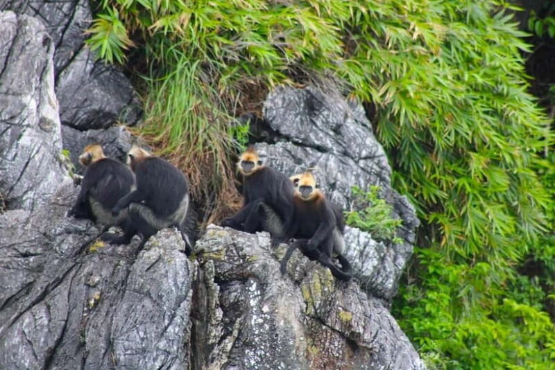 3-Day Discover the most stunning Cat Ba Island - Lan Ha Bay - Key Points