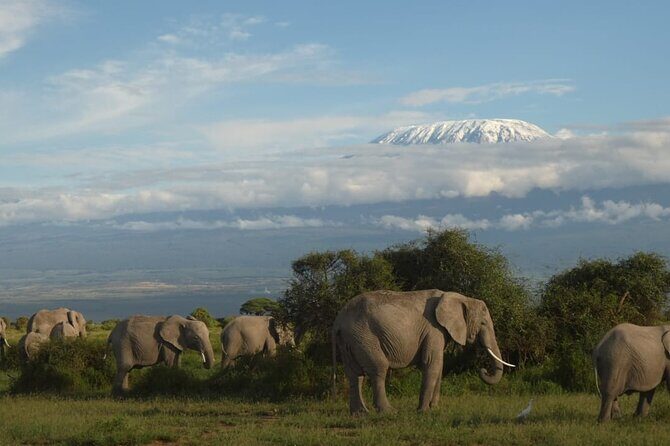 3 Day Exploring Amboseli National Park - Key Points