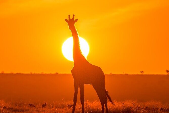 3 Day Exploring Amboseli National Park - FAQs