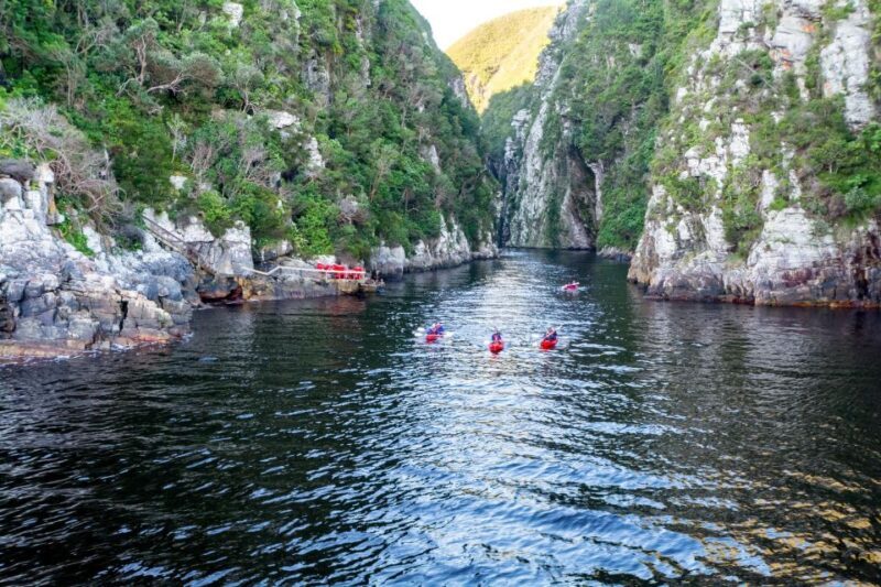3 Day Garden Route All-inclusive Private Tour from Cape Town - Introduction: An Authentic Taste of South Africa’s Garden Route