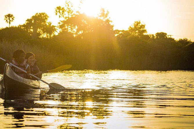 3 Day Garden Route Highlights and Safari with Private Transfers - An In-Depth Look at the 3-Day Garden Route Tour