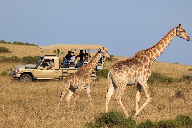 3 Day Garden Route's Best Highlights with Safari from Cape Town - Final Thoughts: Is This Tour for You?