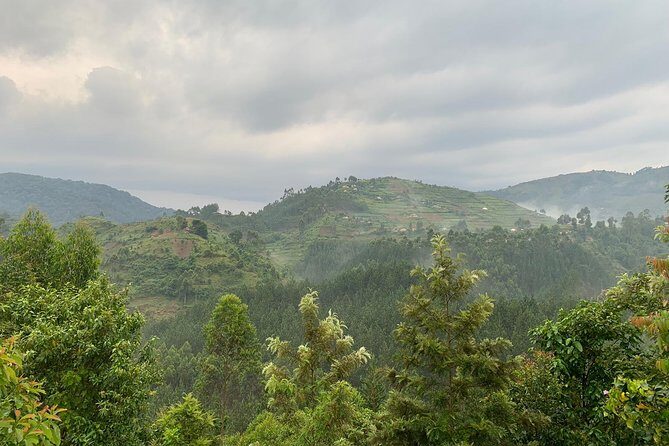 3 Day Gorilla Trek at Bwindi National Park via Kigali - Practical Tips for Future Travelers