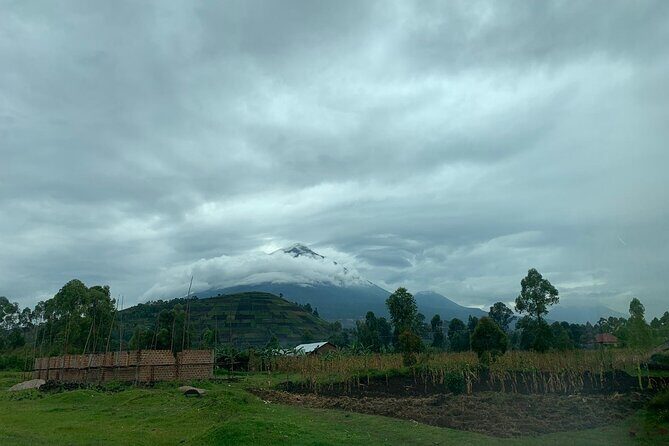3 Day Gorilla Trek at Bwindi National Park via Kigali - The Sum Up