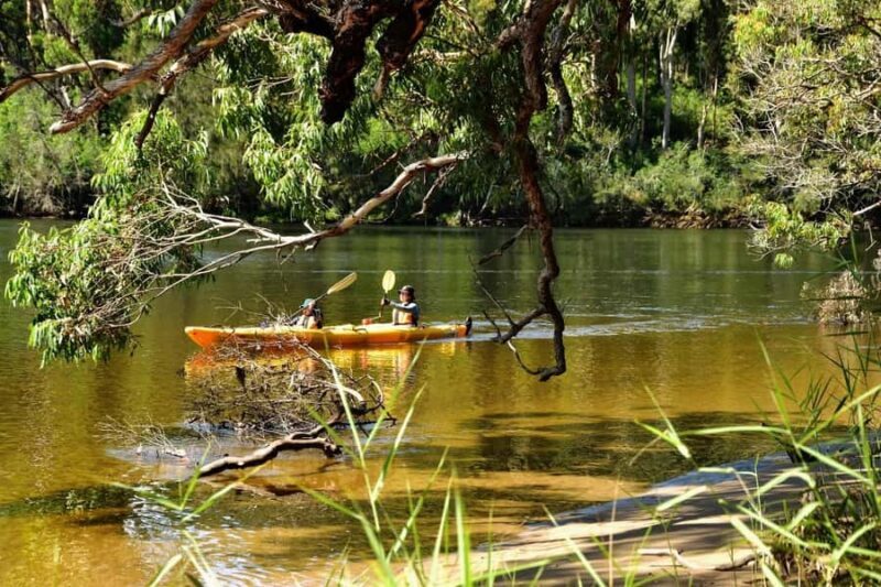 3 Day Guided Kayak Camping, Clyde River Batemans Bay - How the Tour Fits into Your Broader Travel Plans