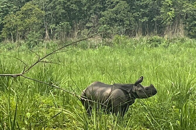 3-Day Guided Safari Tour in Chitwan National Park in Nepal - Key Points