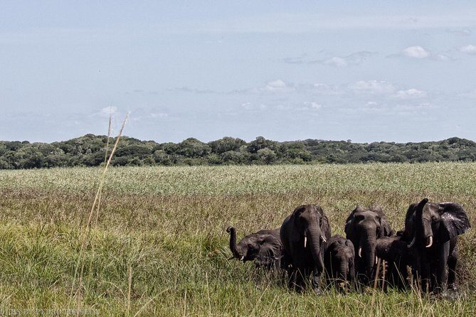 3-Day Guided Tour: Maputo Special Reserve - The Itinerary Breakdown: What to Expect Day-by-Day