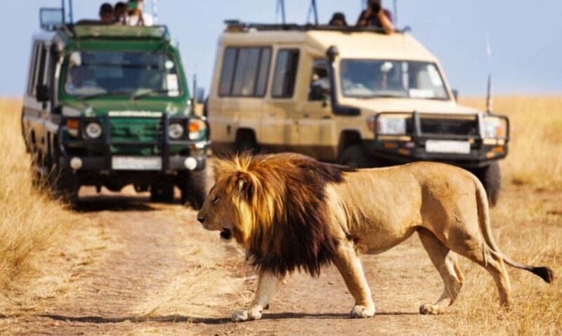 3 Day Hluhluwe & Isimangaliso Wetlands Pk Tour from Durban - An In-Depth Look at the 3-Day Itinerary